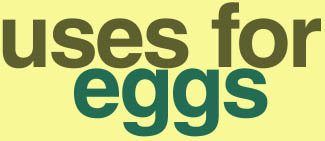 Egg Uses